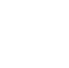 IT Consultancy icon