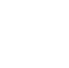 Technology Audit icon